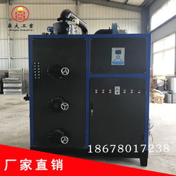 生物質(zhì)鍋爐鍋爐報(bào)價(jià) 廠家